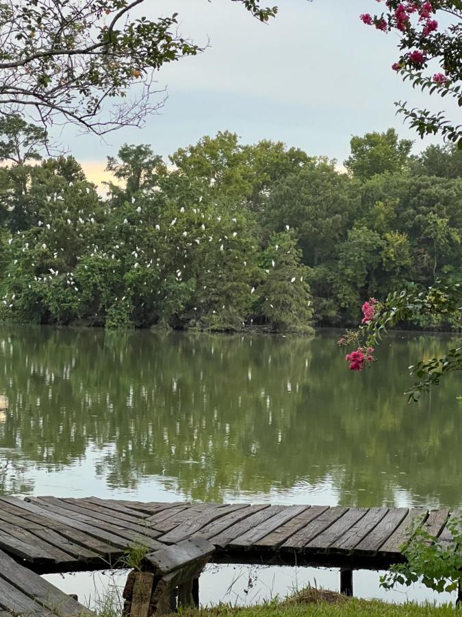 האמבל Kingwood Cottage - 10 Mins From Iah - Lake Front מראה חיצוני תמונה